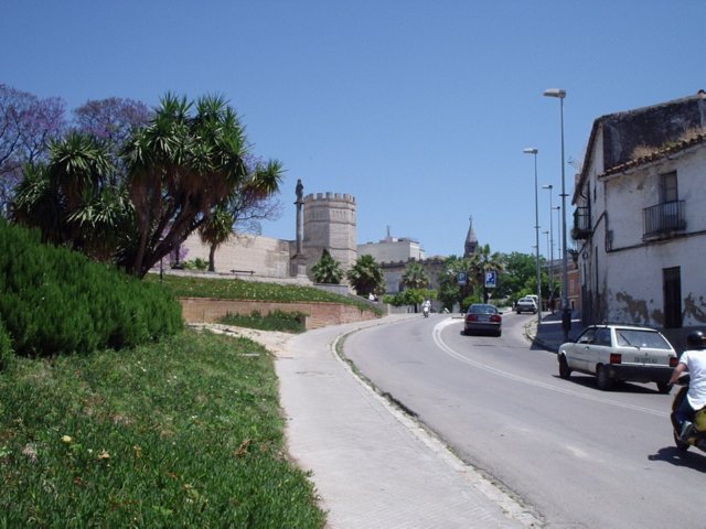 P5190132 Alcazar - Jerez de la frontera